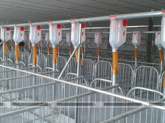 豬舍自動(dòng)料線 豬舍自動(dòng)料線